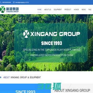 Shandong Xingang Enterprise Group Co., Ltd.-Construction membrane-construction formwork system-ecological board-plywood-construction membrane-faced panel manufacturer-construction membrane-faced panel quality