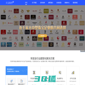 深耕珠宝行业20年+_天宝软件
