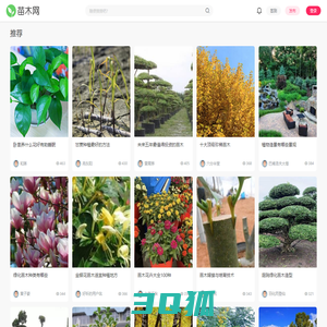 苗木网_苗木求购信息_花卉苗木信息网站