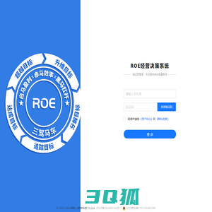 ROE经营决策系统