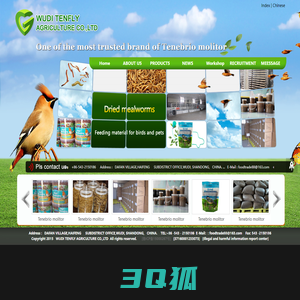 WUDITENFLY AGRICULTURE CO.,LTD|Tenebrio molitor|Meal worm-WUDI TENFLY AGRICULTURE CO.,LTD