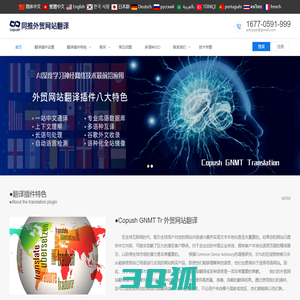 ●同推翻译（Copush Translate）_外贸网站翻译