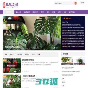 植物之家,玫瑰花养殖,鲜花养殖,您身边的养花专家【玫瑰花园】