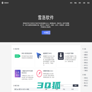 雪洛软件-专注于软件、网站、游戏开发