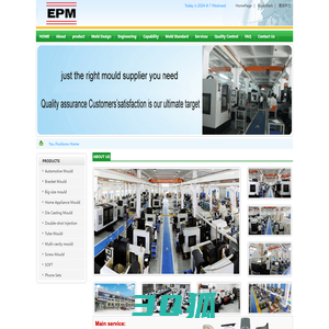 MOLD MOULD PLASTIC TOOL TOOLING MOLDING-EPM