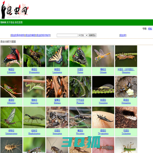 昆虫网-昆虫图鉴-物种网旗下昆虫专题网站