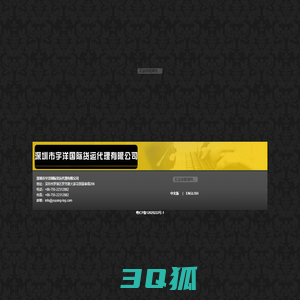 深圳市宇洋国际货运代理有限公司