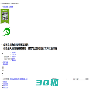 核桃批发,山西核桃批发,山西野生老树核桃批发,山西核桃批发基地直销价格最低-象谷核桃批发基地