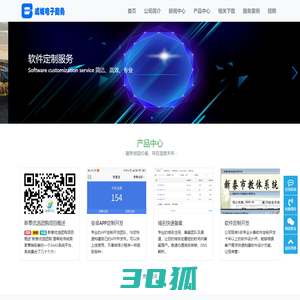 泰安市成城电子商务有限公司-软件定制开发