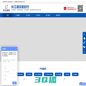 长江液压密封行