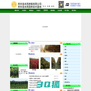 利辛县米高种植有限公司 |金桂、银桂、丹桂、四季桂、香樟、海桐、大叶女贞、小叶女贞、红叶石楠、广玉兰、枇杷、垂柳、球形规格齐全等产品远销全国。