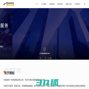 广州黑蚁营销管理咨询有限公司