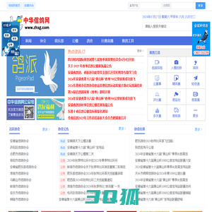 中华信鸽网
