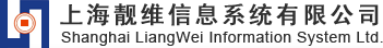 上海靓维信息系统有限公司