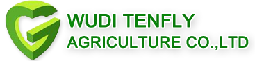 WUDITENFLY AGRICULTURE CO.,LTD|Tenebrio molitor|Meal worm-WUDI TENFLY AGRICULTURE CO.,LTD