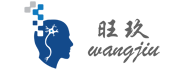 旺玖智能科技（上海）有限公司-工厂信息化系统|自动化测试系统|无线充电|上位机软件