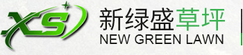 西安百慕大草坪_高羊茅草坪价格_西安早熟禾草坪批发-鄠邑区新绿盛草坪种植基地